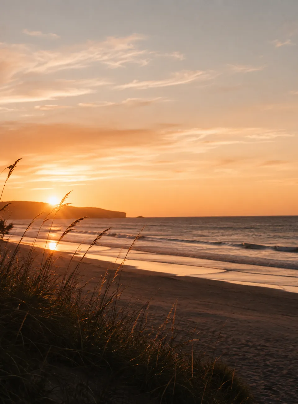 Sunrise over a quiet beach, dune grass in the foreground